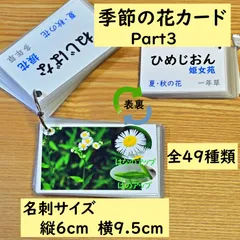 季節の花カード　Part３　野の花　　四季の学習に　小学校受験に