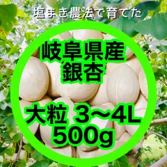 【塩まき銀杏】　岐阜県産　銀杏　大粒　藤九郎　500gのサムネイル