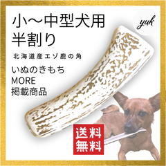 【送料無料】🐶小〜中型犬用🐶半割り🦌北海道産エゾ鹿の角🦌犬のおもちゃ🐕鹿の骨　C