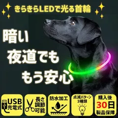 犬 首輪 光る LED 長さ調節 散歩 事故防止 USB充電式 8色から選べる Sサイズ