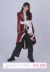 【中古】生写真(坂道シリーズ) 向井純葉/全身/櫻坂46ランダム生写真【「4th ARENA TOUR IN 東京ドーム」オープニング衣装】