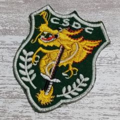 AE29 ベトナム 戦争 ワッペン ドラゴン 龍 竜 動物 剣 CSDC 緑 パッチ ミリタリー  装備用 US ARMY 古着