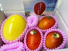 マンゴー　パッションフルーツ詰合せ　家庭用