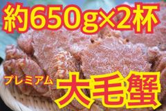 【必見】食べ応え十分！北海道産大毛蟹 600g～700g×2杯 冷凍 ボイル