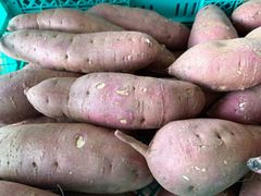 【特別入荷】【大きめサイズ】この時期に珍しい！　甘〜い　紅はるか　大きめ　訳あり　10kg