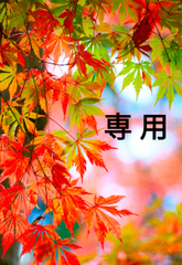NOA＿様専用