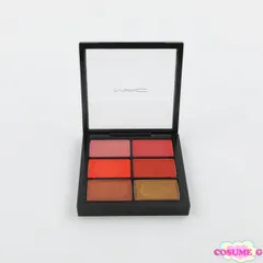MAC プロ リップパレット 6 エディトリアル オレンジズ 残量多 C240