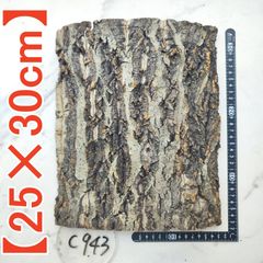 c943【25×30cm】 コルク樹皮 コルク板 バージンコルク 穴あけ/送料無料　チランジア　ビカクシダ　着生ラン　両生類　爬虫類　ビカクシダ　コウモリラン　板付　エアープランツ チランジア  バージンコルク