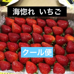 いちご　苺　小粒～中粒　クール便