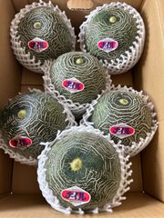 幻のメロン ナイルメロン 2L 5玉 千葉県産 送料込み - メルカリ