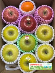 りんご3種と柿のフルーツボックス