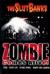 THE SLUT BANKS LIVE会場限定DVD 未使用 3枚セット Amazon.co.jp: ドクロ: ミュージック