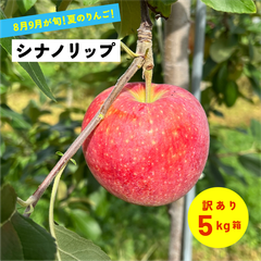 8月12日から8月31日発送〜 指定不可「シナノリップ5キロ箱訳あり品」 農林水産大臣賞 長野県産 安曇野 信州産 産地直送