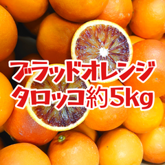 ブラッドオレンジ　タロッコ　約5kg