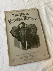 2025年最新】洋書 アンティークの人気アイテム - メルカリ