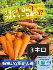 【値下げセール中】有機JAS人参　3L～SS　訳あり　３キロ