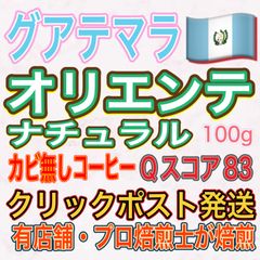 グアテマラ 🇬🇹 オリエンテ ・ ナチュラル ⭐️ Qスコア 83点評価 （100g×1袋）【 フルーティー な 中煎り コーヒー豆 】⭐︎ 大特価 ！⭐︎ ドリップバッグ のおまけ付き