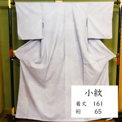 ☆【美品✨】洗える着物 夏着物 絽楊柳 飛び柄小紋 灰みの薄黄緑