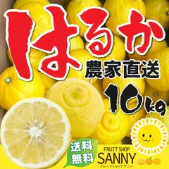 みかん 春香 愛媛県産 訳あり はるか 箱込10kg（大きさ不揃い・外皮に傷/シミがある場合あり）