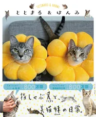 ととまる&はんみ [単行本（ソフトカバー）] ととまるはんみパパ