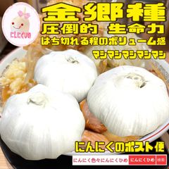 3球分　金郷種　最強かも？　食用兼用　バラシて即出荷　にんにくひめ　にんにく