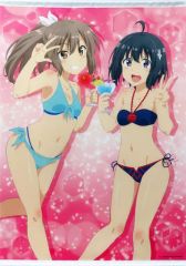 青春ブタ野郎 麻衣＆翔子 C96 Ntype 溝口ケージ B2タペストリー - メルカリ