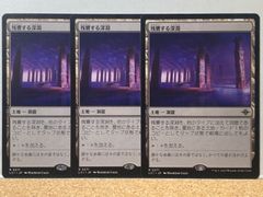 MTG セレズニアの聖域 2X2 日本語 ボーダーレス FOIL込 4枚セット