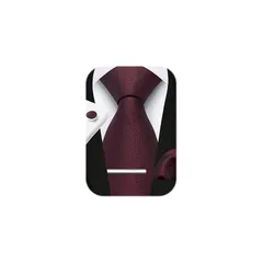 [HISDERN] ネクタイ メンズ 結婚式 赤 ネクタイ チーフ 4点セット 無地 就活 入学式 卒業式 二次会 フォマール ブラント品