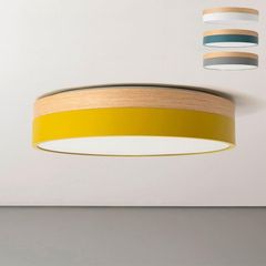 Item thumbnail for item 4f4fa961-5055-441c-baab-8cc33516a535