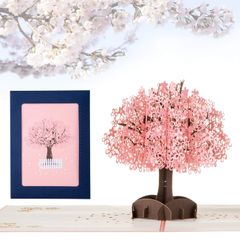 【数量限定】封筒付き おしゃれ さくら 卒業 バレンタイン ポップアップカード 立体カード 桜 メッセージカード Kesote