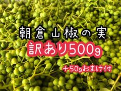 実山椒500g＋おまけ50g　常温発送