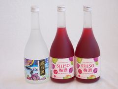 激レア】しそ焼酎 鍛高譚 20度 720ml シークレットラベル 金ラベル
