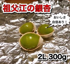 愛知県祖父江産　銀杏　2L 300g