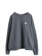 【お得なクーポン配布中!】 パタゴニア クルーネック スウェット レディース XL 古着 23年製 Patagonia アウトドア トレーナー 長袖 Tシャツ ロンT 薄手 ワンポイント