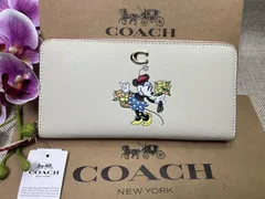 2024年最新】coachディズニー100周年の人気アイテム - メルカリ