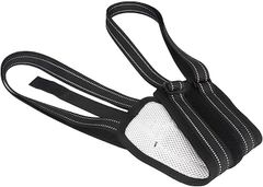 Item thumbnail for item 7d86115d-f378-48ed-ad73-a1b75d76ff87