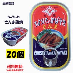 田原缶詰　さんま蒲焼（ちょうしブランド）100ｇ×20個