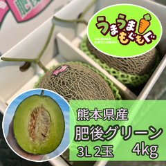 【数量限定品】熊本県産　肥後グリーンメロン　3L 4kg（2玉） メロン　めろん　肥後グリーン