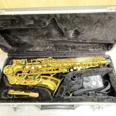 71go6nyciCL._UF350,350_QL50_.jpg