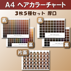 ヘアカラーチャート3枚5種セット A4厚口 おしゃれ染め 白髪染め ファッションカラー グレイカラー 平均顔 美容室