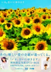 いま,会いにゆきます DVD-BOX + オレンジレンジ　花 いま,会いにゆきます DVD-BOX + オレンジレンジ 花 - メルカリ