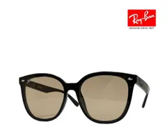 【Ray-Ban】 レイバン　サングラス　RB4423D　601/93　ブラック　フルフィットモデル　国内正規品