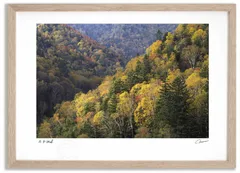 アートフォト 絵画 紅葉の大雪山2 高橋真澄/インテリア 額入り 額装込 風景画 油絵 ポスター アート アートパネル リビング 玄関 プレゼント モダン アートフレーム 飾る Mサイズ おしゃれ 壁掛け 絵