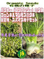 パクチー（コリアンダー/香菜）のタネ2mlとフェンネル・マンモスのタネ1ml セット　有機種子・無農薬無化学肥料栽培のタネ