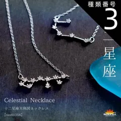 種類3:双子座 ネックレス レディース  金属アレルギー シンプル 胸元に夜空を彩る。十二星座天体図ネックレス チェーン アクセサリー 925シルバー スターリングシルバー シルバー 十二星座 星 星座 誕生日 きれいめ プレゼント n_marai 春服
