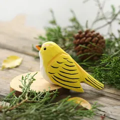 2024年最新】鳥 バード バスの人気アイテム - メルカリ