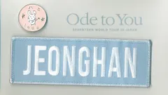 SEVENTEEN 2019 ODE to You IN JAPAN JEONGHAN ワッペン+バッジセット