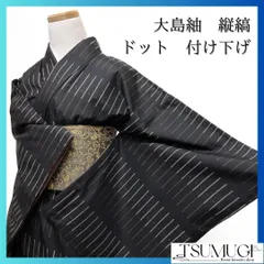 大島紬　縦縞　ドット　抽象模様　付け下げ　着物　105a p