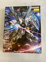 リアルタイプカラー Ver.「MG フリーダム Ver.2.0」「MG