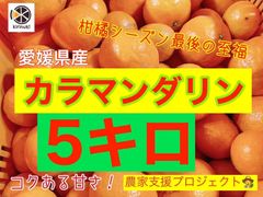 カラマンダリン　5キロ
